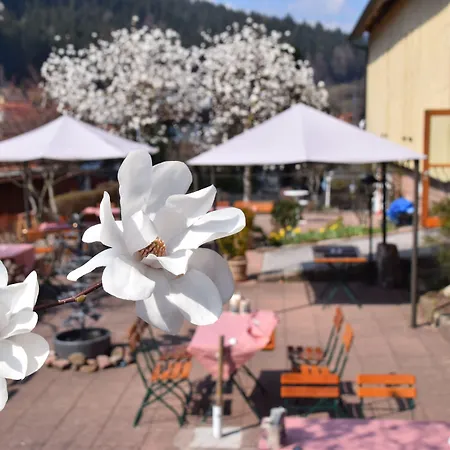 Gutshof-hotel Waldknechtshof 4*