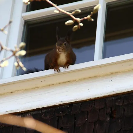 Gutshof-hotel Waldknechtshof Hotel 4*