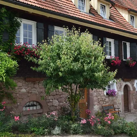 מלון Gutshof-hotel Waldknechtshof 4*