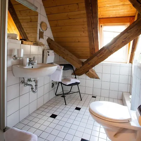 Gutshof-hotel Waldknechtshof 4* באיירסברון