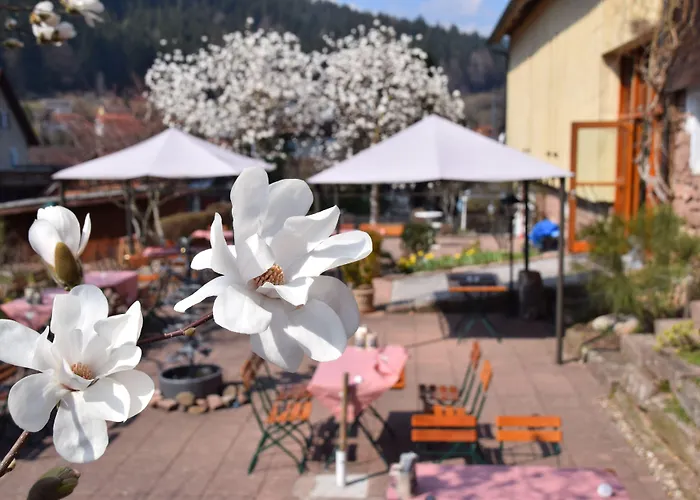 Gutshof-hotel Waldknechtshof 4*